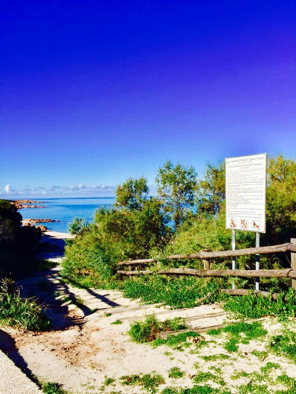 Appartamenti In Villa La Marinedda Isola Rossa Exteriér fotografie