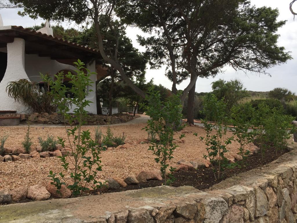 Appartamenti In Villa La Marinedda Isola Rossa Exteriér fotografie